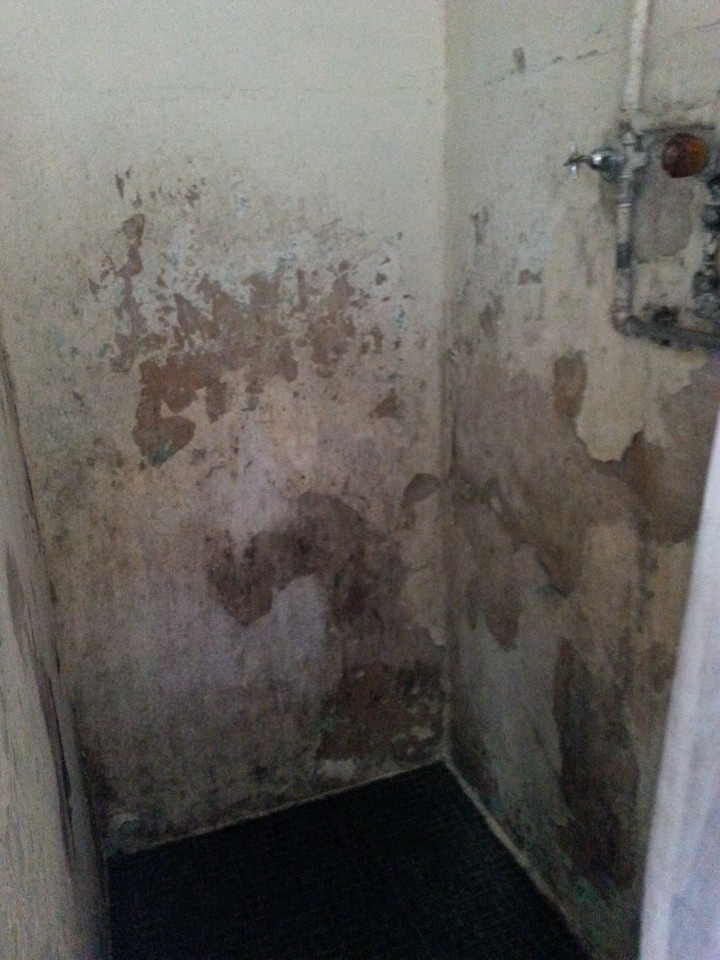 Before pic of downstairs shower